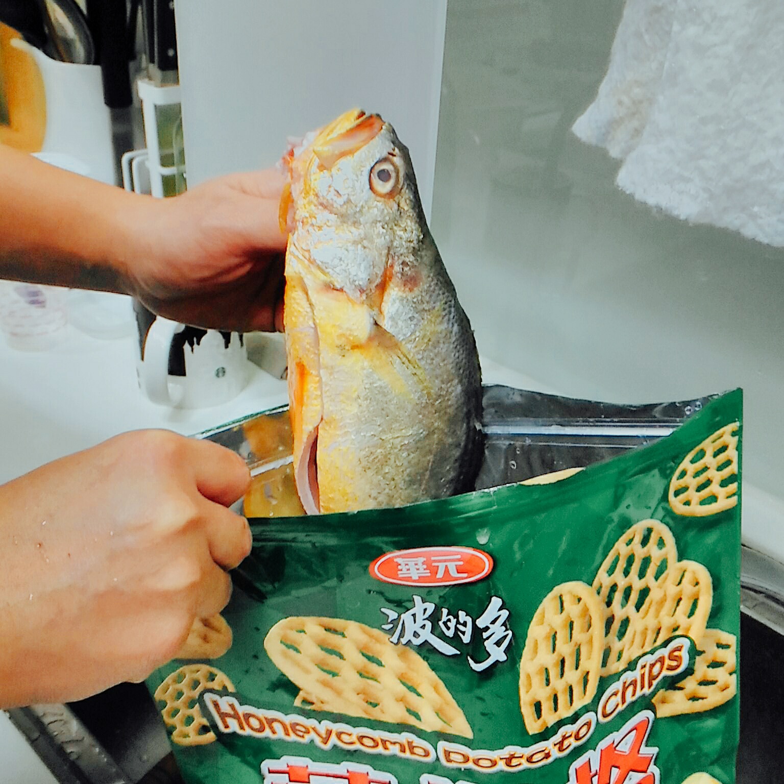 零食袋買魚、牛奶盒收納、行李箱買菜！不塑之客的家庭回收秘笈３式