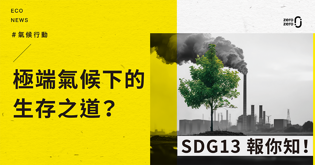 極端氣候下的生存之道｜SDG 13 報你知！