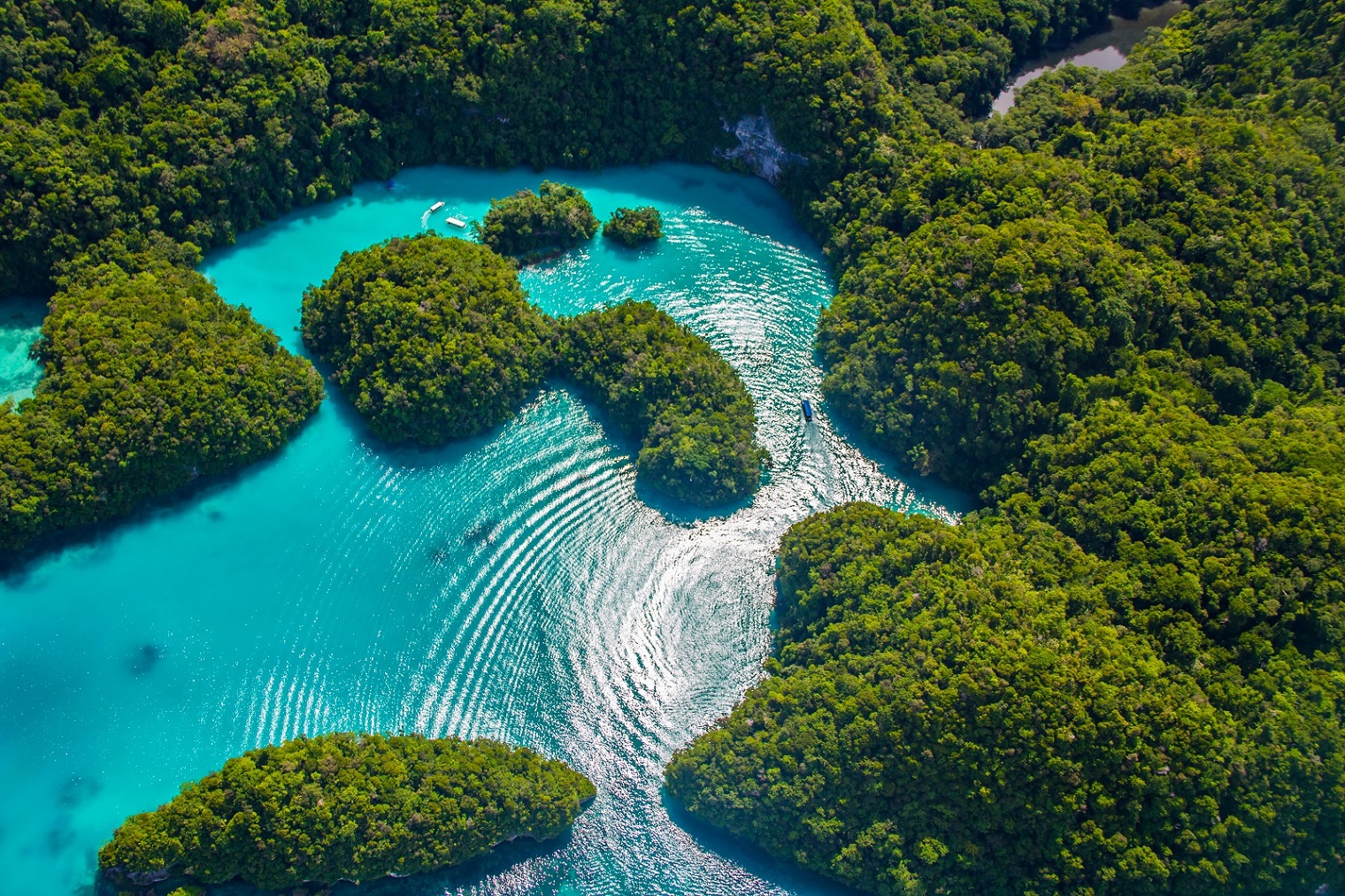 Beautiful,View,Of,Palau,Tropical,Islands,And,Pacific,Ocean,From